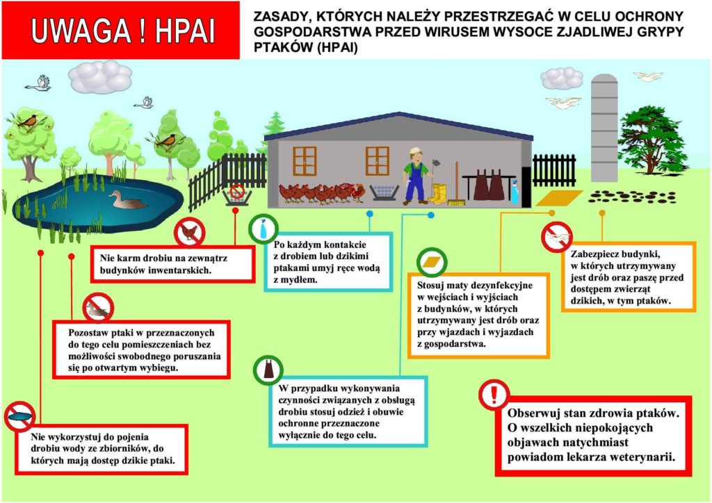Grypa ptaków - zasady bioasekuracji